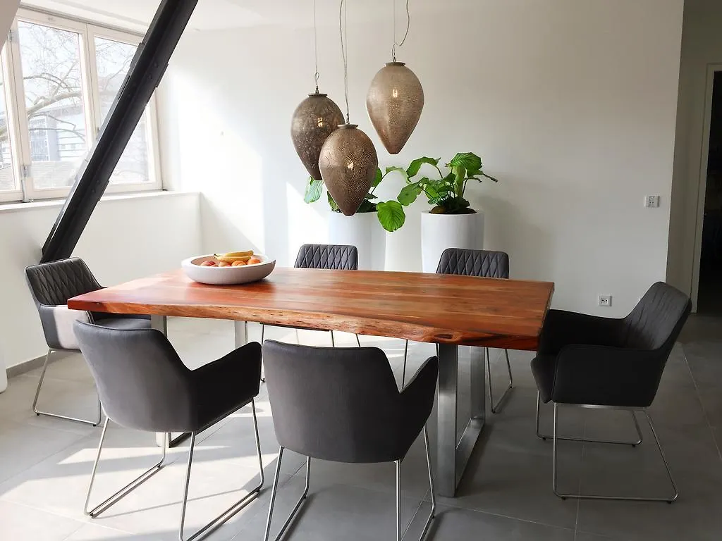 Luxery Loft Apartment Mannheim